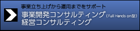 ＜事業立ち上げから運営までサポート＞事業開発コンサルティング（Full Hands on型）・経営コンサルティング