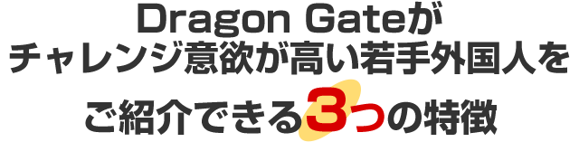 Dragon Gateが優秀な若手外国人をご紹介できる3つの特徴